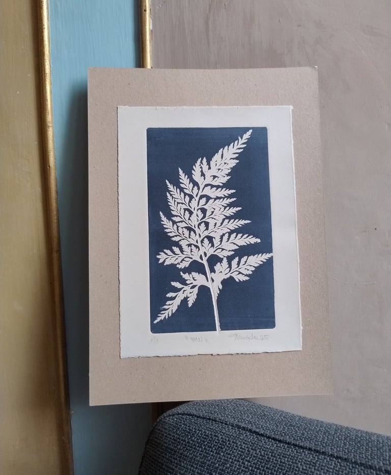 stampa botanica originale calcografia su carta cotone museale Officina Cromatica