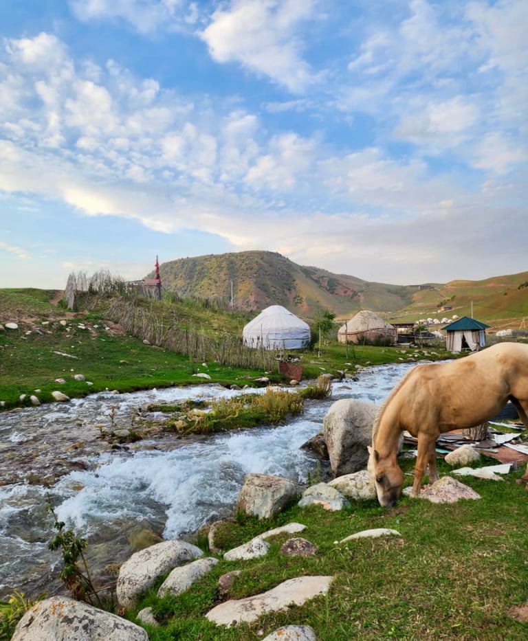 best holiday packages from dubai