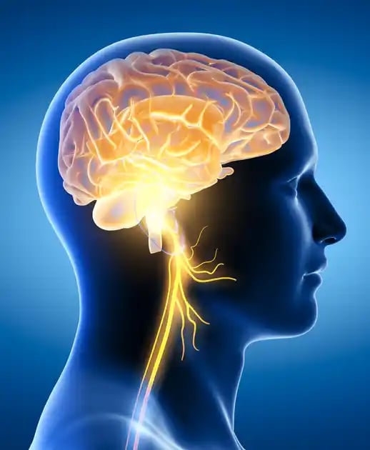NEUROLOGY நரம்பியல்