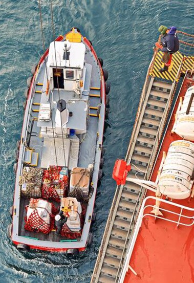 Technical Procurement