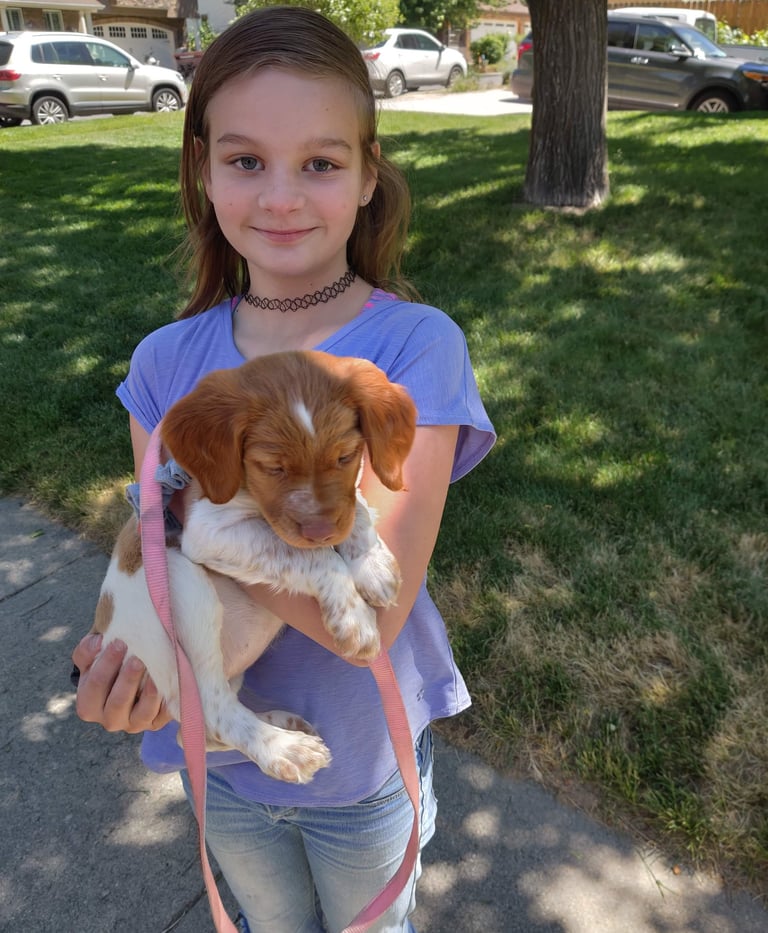 girl holding puppy dog in West Jordan Utah