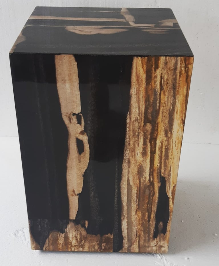 Petrified wood cube with natural mineral veins — Part of Arcanum