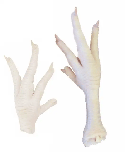 Chicken Feet Exports-DGT