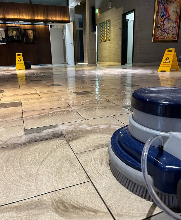 Grundreinigung Cepele