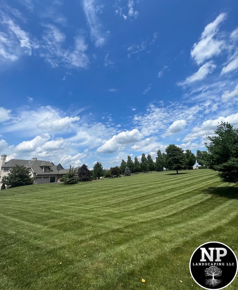 excellent landscaping and hardscaping of grass, stones and trees by NP Landscaping