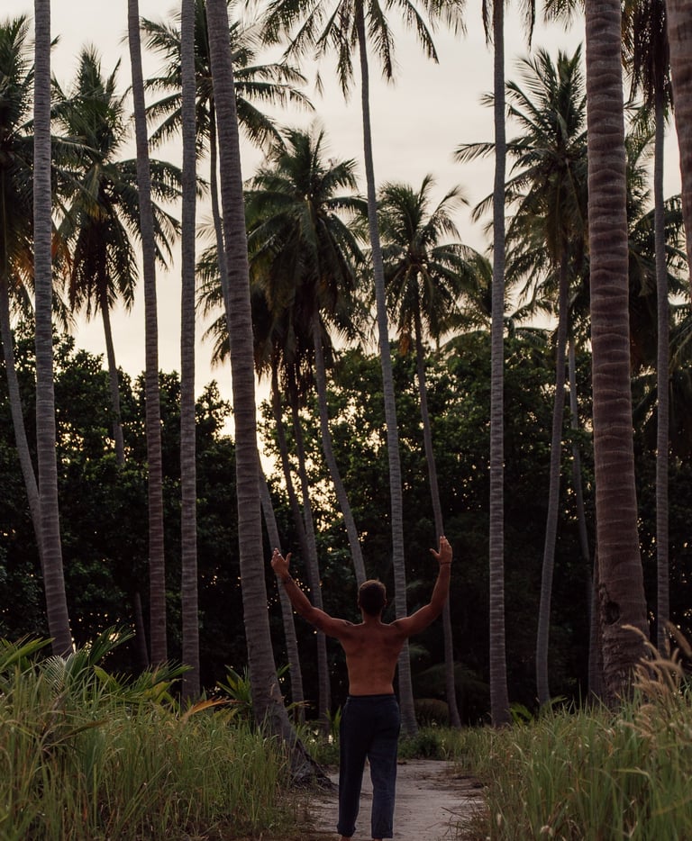 a man standing on a path with palm trees