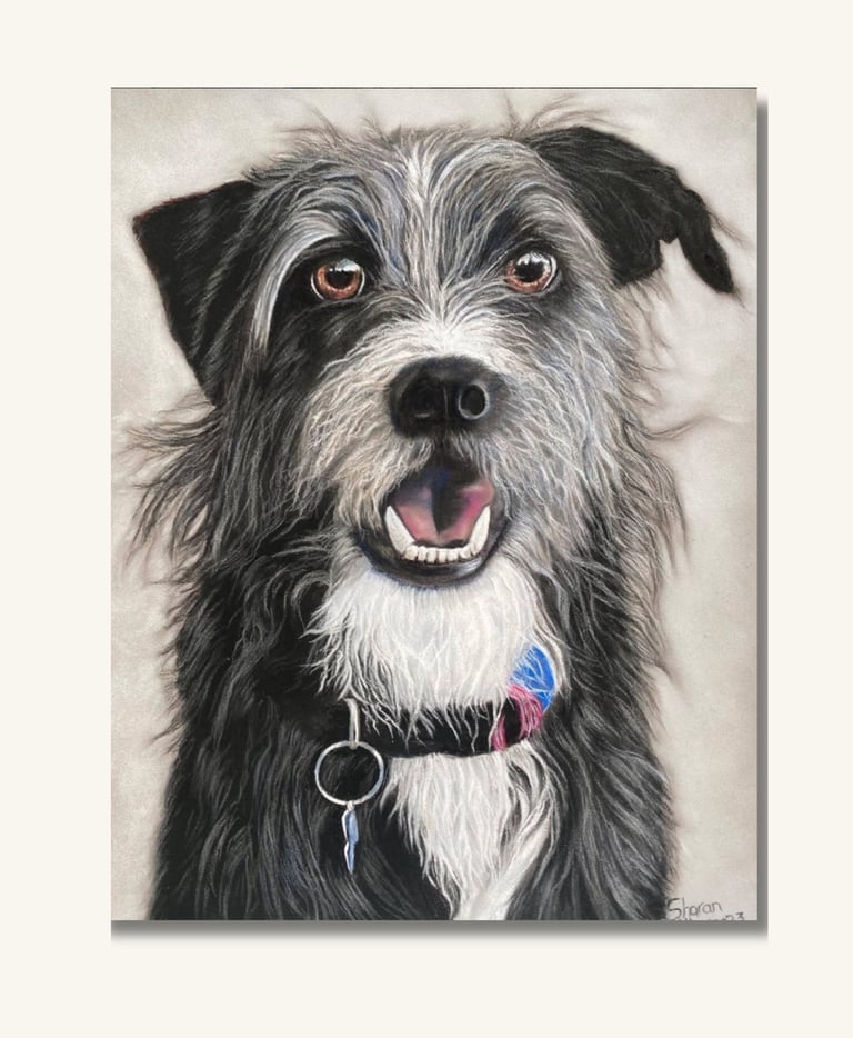 Custom pet portrait of a dog created in soft pastel with realistic detail and personality.