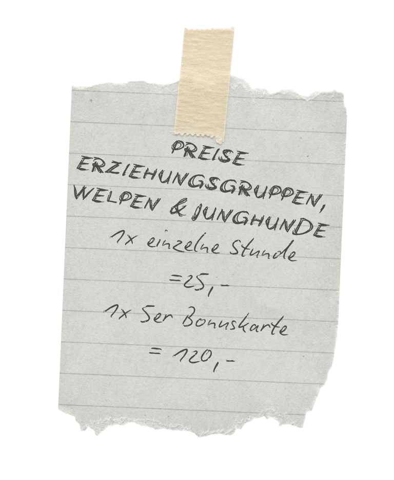 Price list for puppy and dog training classes on a torn piece of paper with tape.