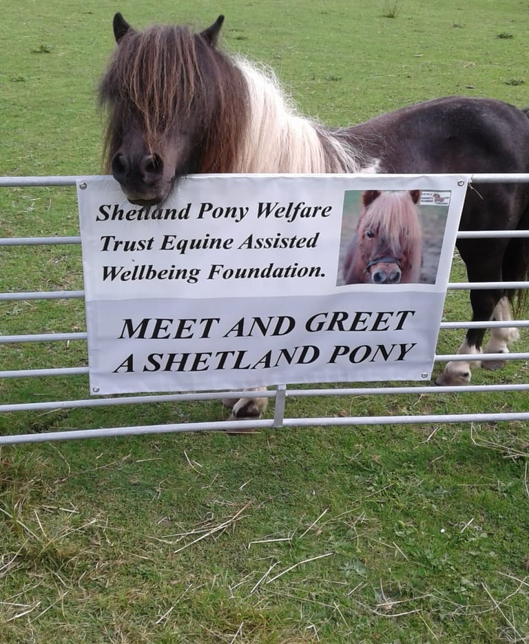 Find out more here 