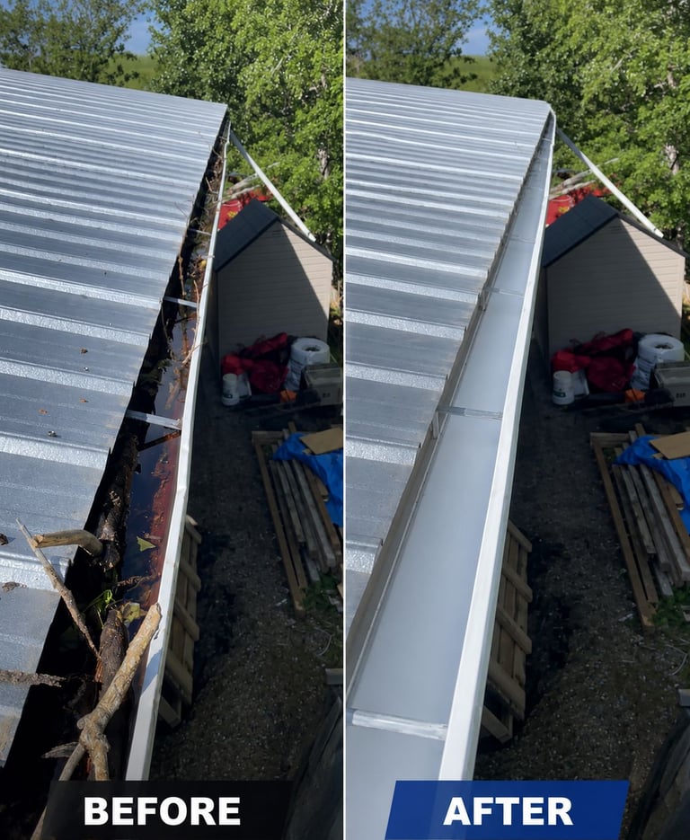 Technician removing leaves from residential gutters.