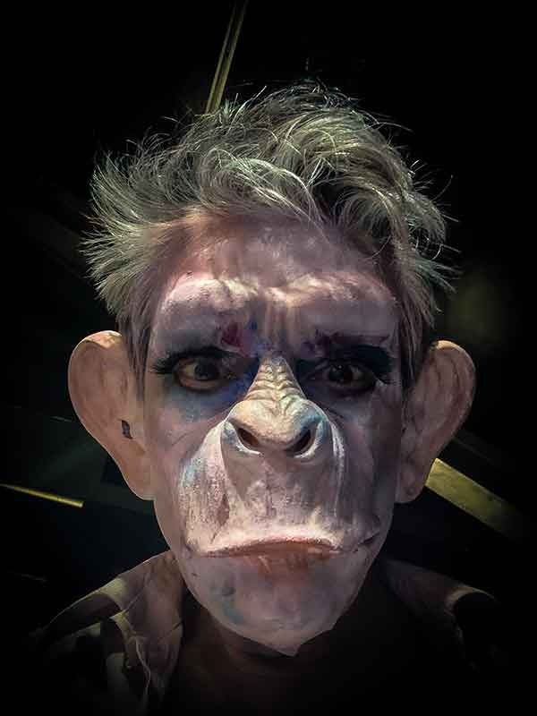 David Noir • un homme avec une face de singe