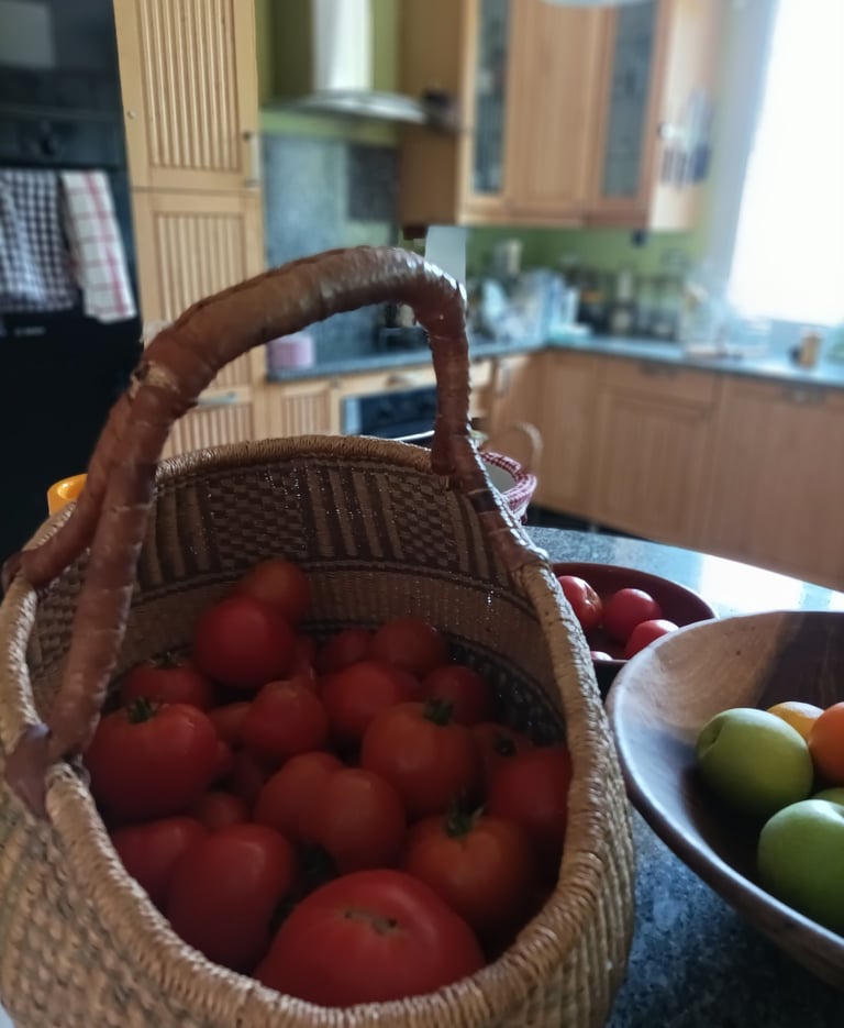 Some tomatoes we had already picked