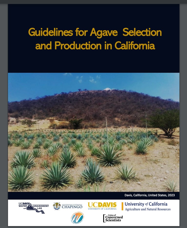 English GuidelAgaveSelectionProduction-California
