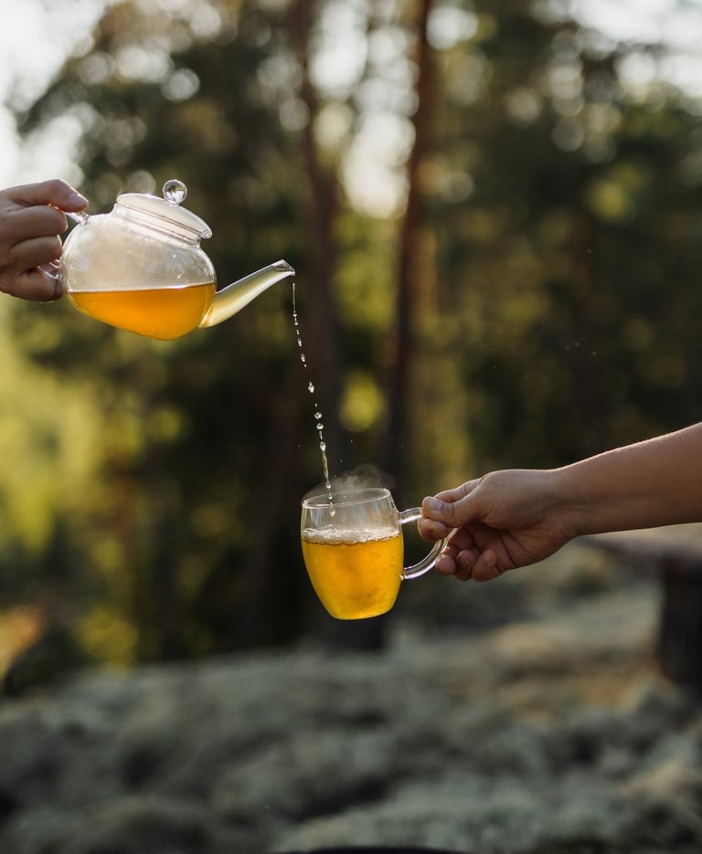 Pouring tea in nature of Finland