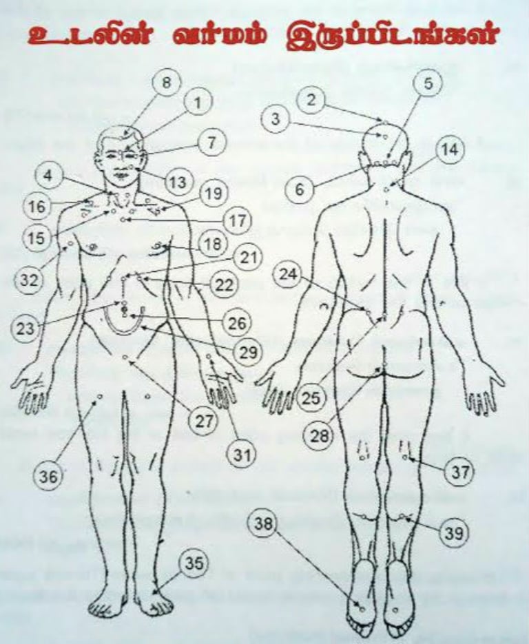 Vetrivel Health center best chiropractic and varamam theraphy 