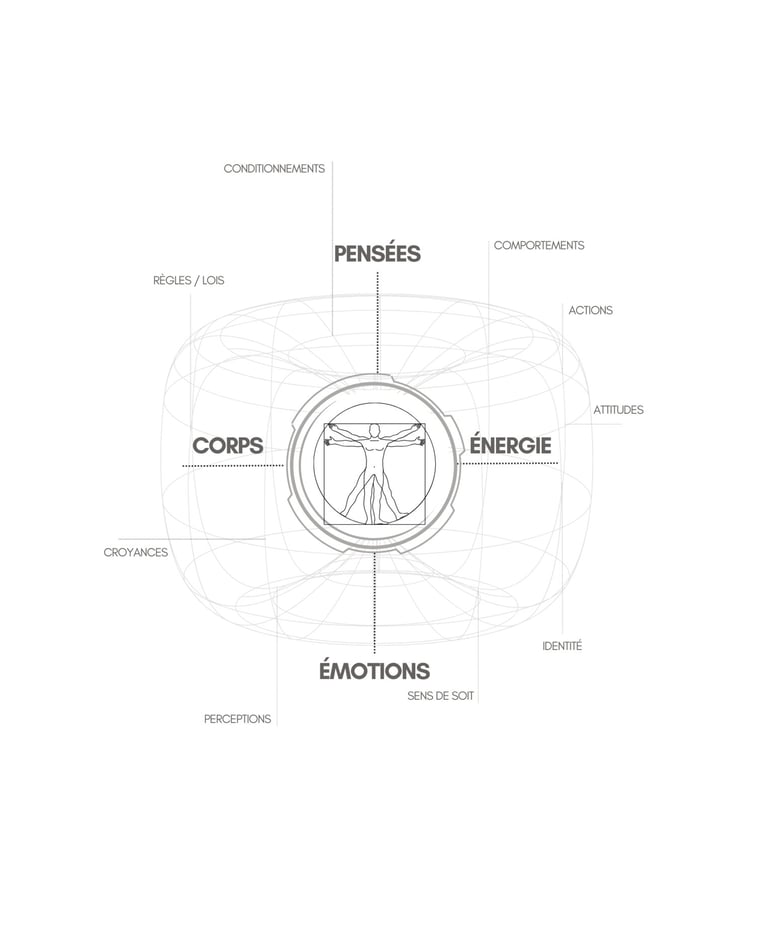 Diagramme de Cartographie Circulaire en transformation personnelle