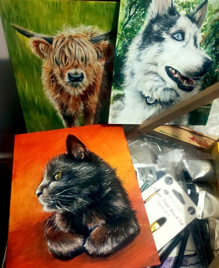 An assortment of paintings of animals in bright acrylic colours, a highland cow, a dog, and a cat
