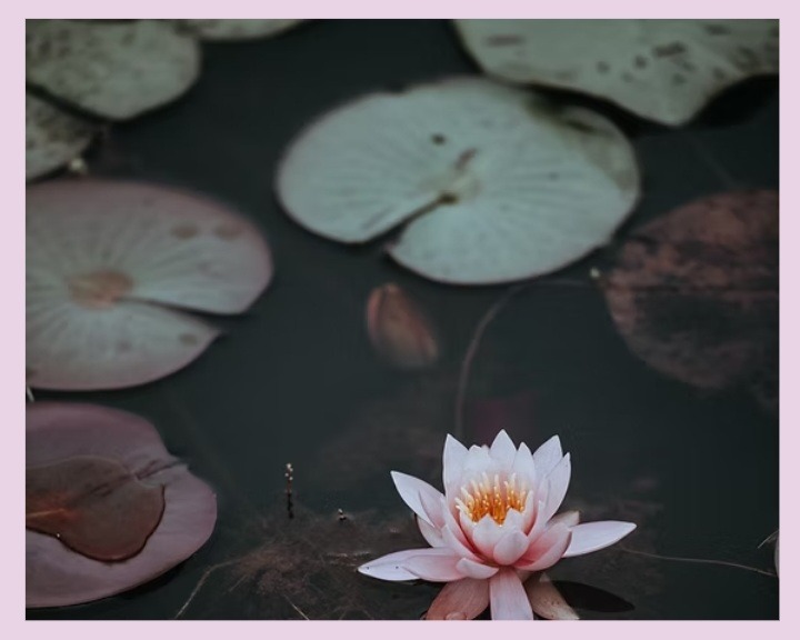 soin acupuncture esthétique, aculifting
