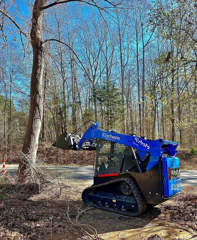 skid steer removing overgrowth