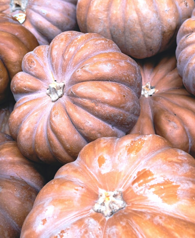 a bunch of pumpkins and other pumpkins