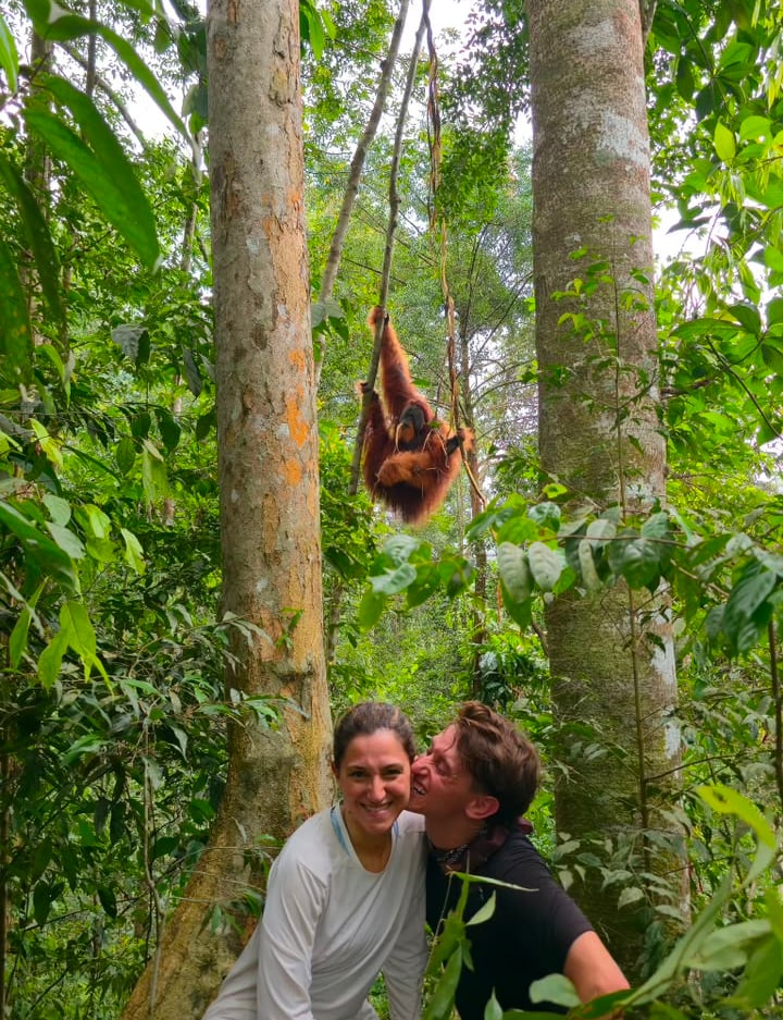 Bukit Lawang Trekking Itinerary
