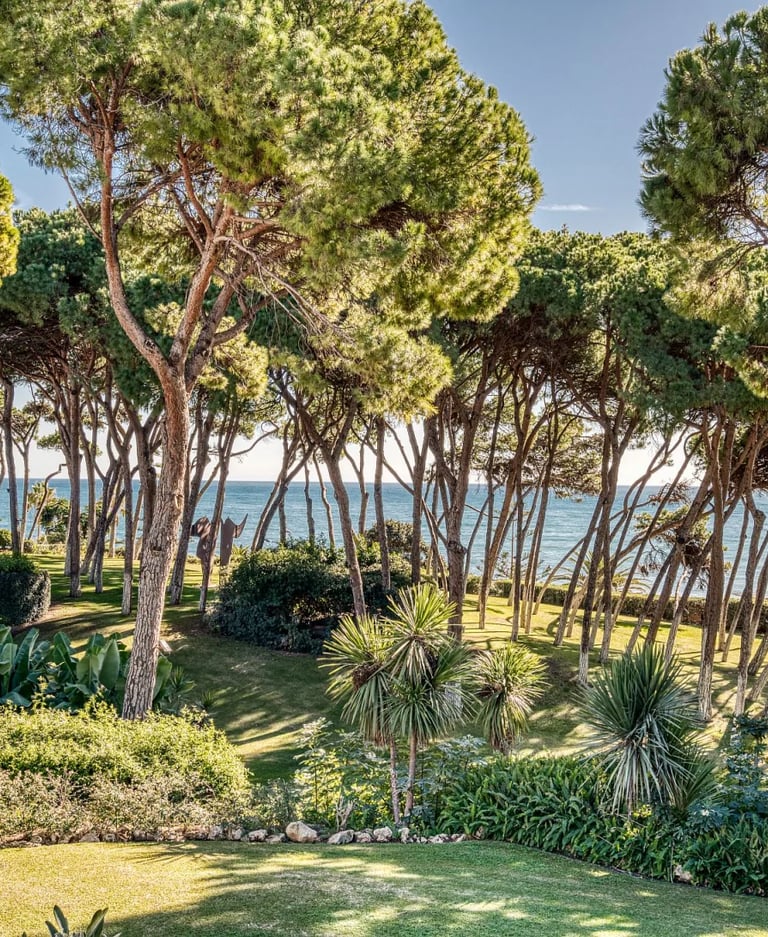Private beachfront estate with manicured gardens and pine grove
