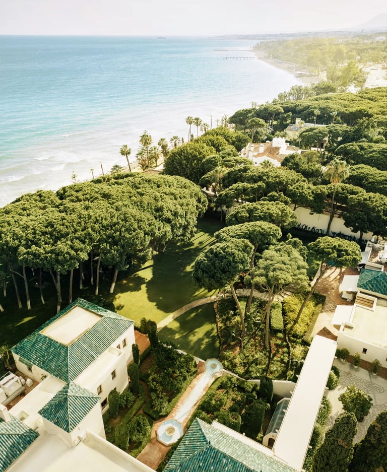Aerial view of beachfront estate with pine grove and Mediterranean coastline
