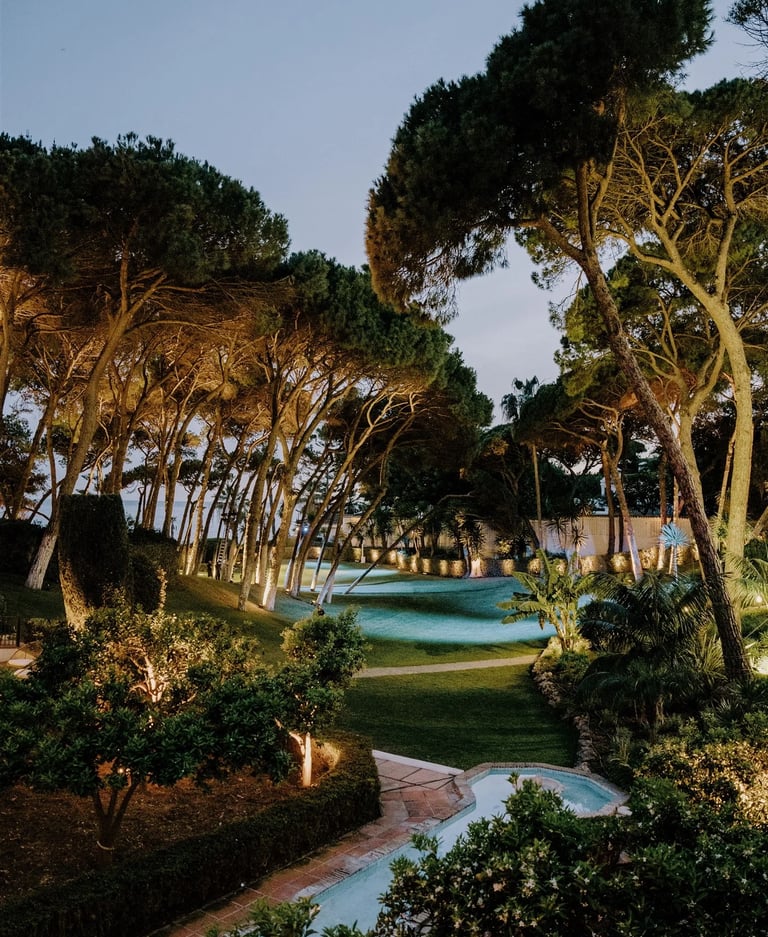 Landscaped gardens at night with mature pine trees and ambient lighting