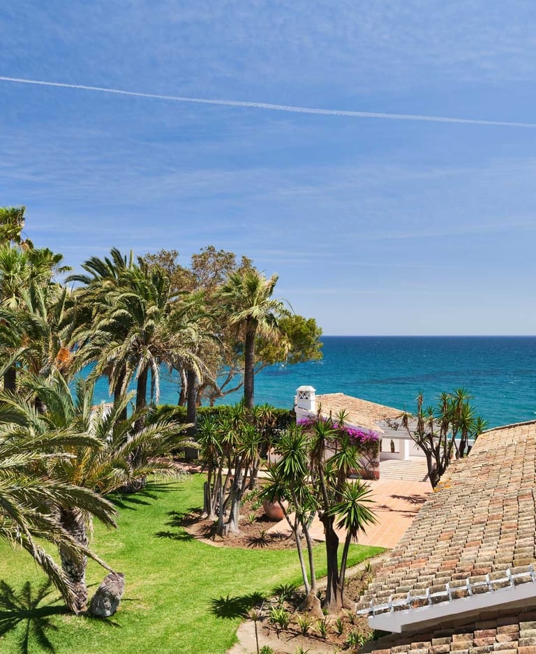 Palm gardens and tiled roofs by the sea