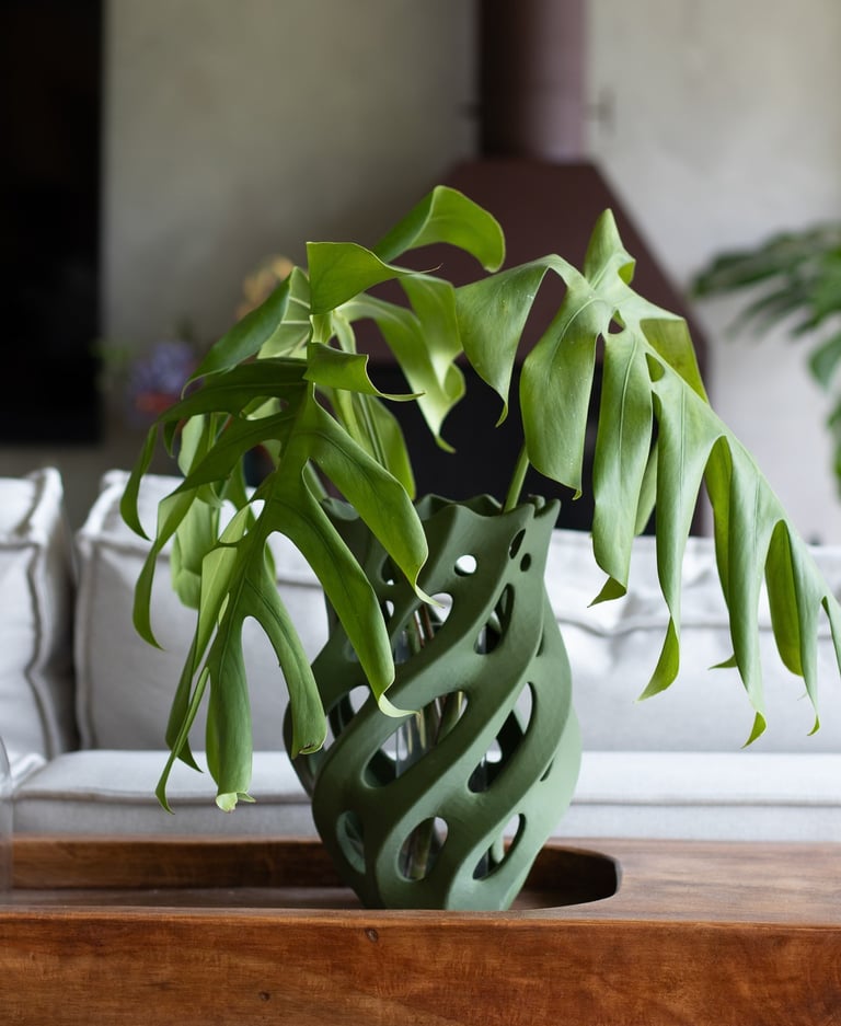 Vaso Monstera verde em impressão 3D sobre mesa de madeira