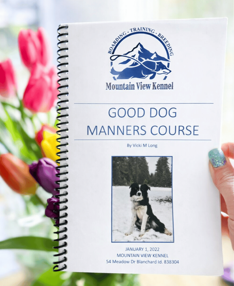 Good dog manners course, beginner and intermediate.