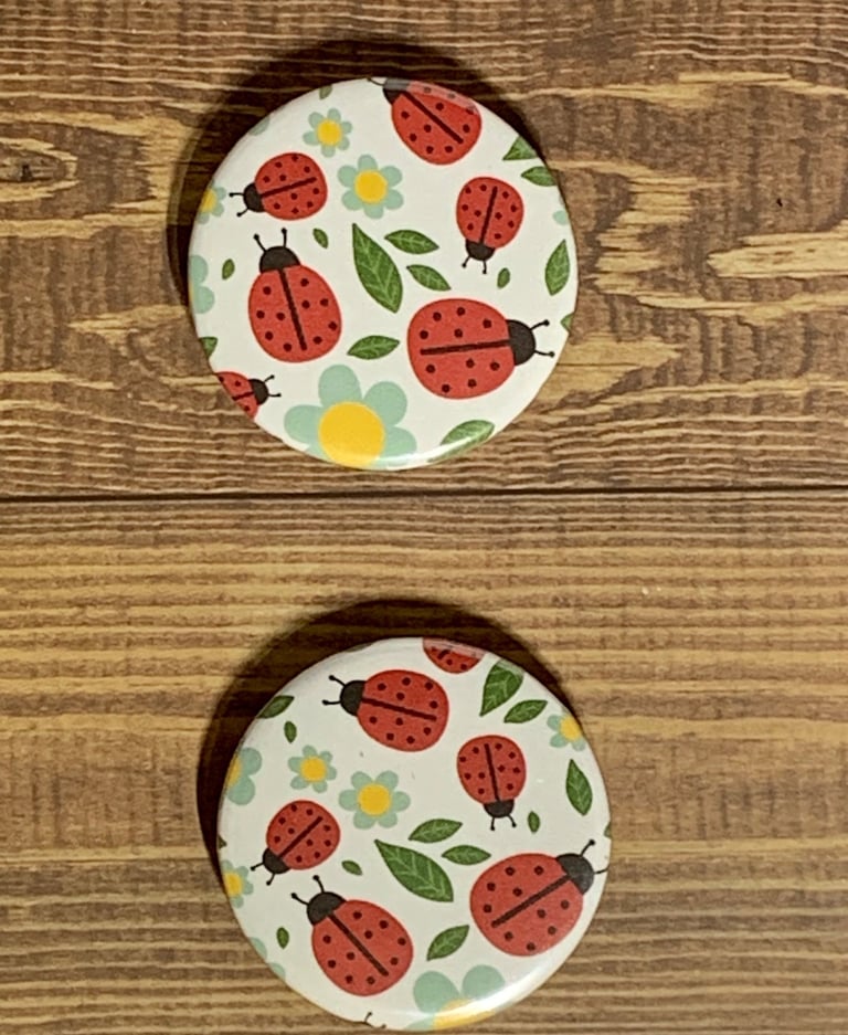 Set of 2 Lady bug circle metal and mylar magnets