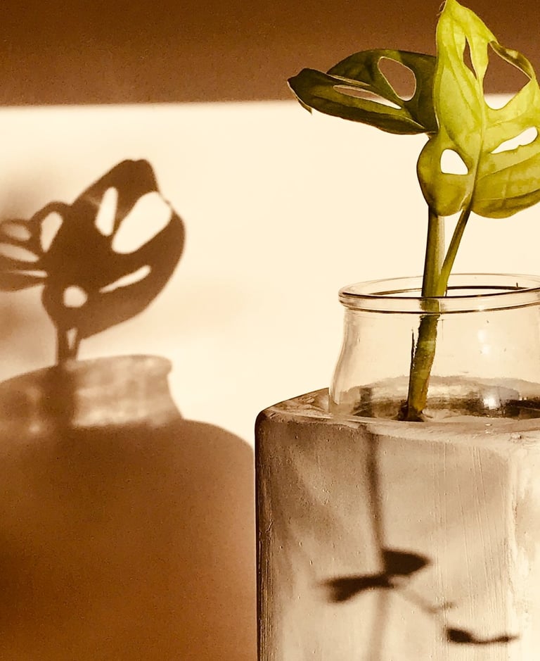 Handmade concrete vase