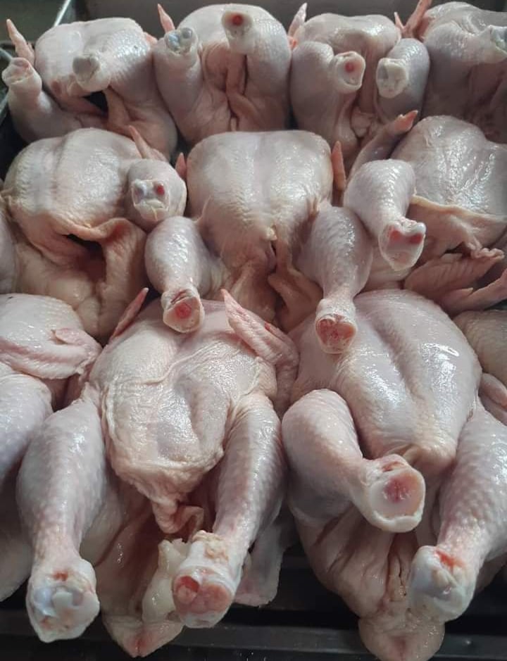 Biggest Chicken Exporters in Pakistan
