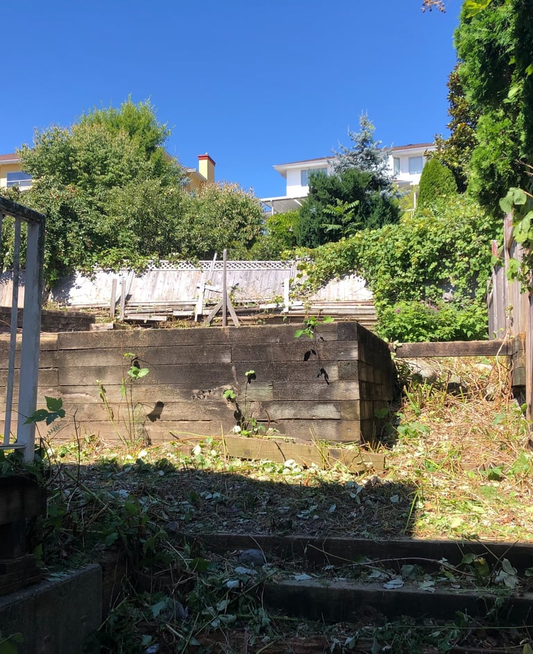 a fenced yard with retaining walls that are free from blackberries
