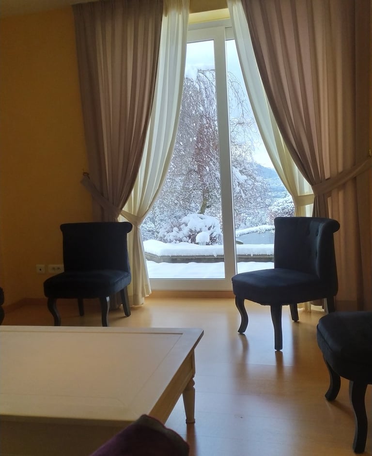 Fauteuils dans 2ème salon/bibliothèque