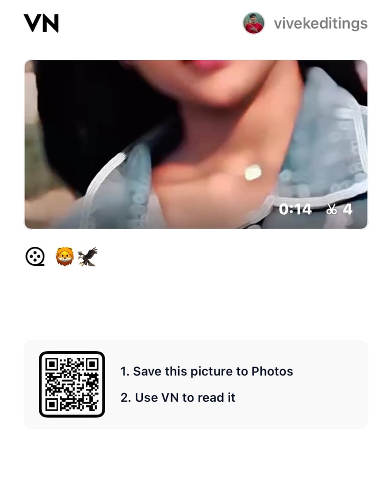Circle VN Template Code