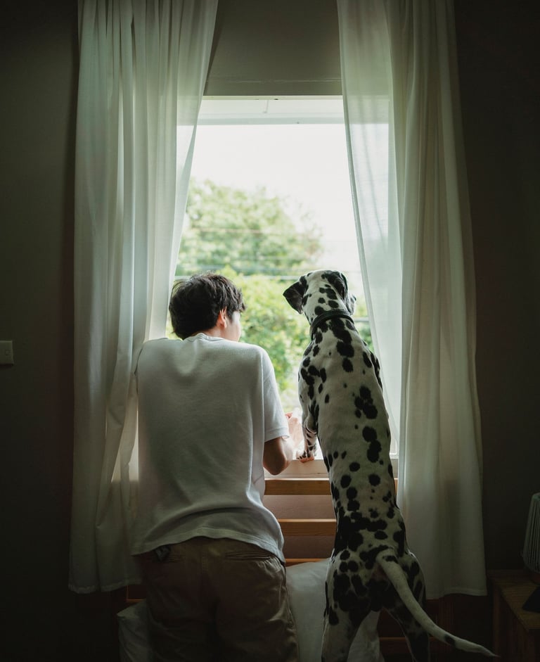 A person and a spotted Dalmatian dog looking out of a window with white curtains together.