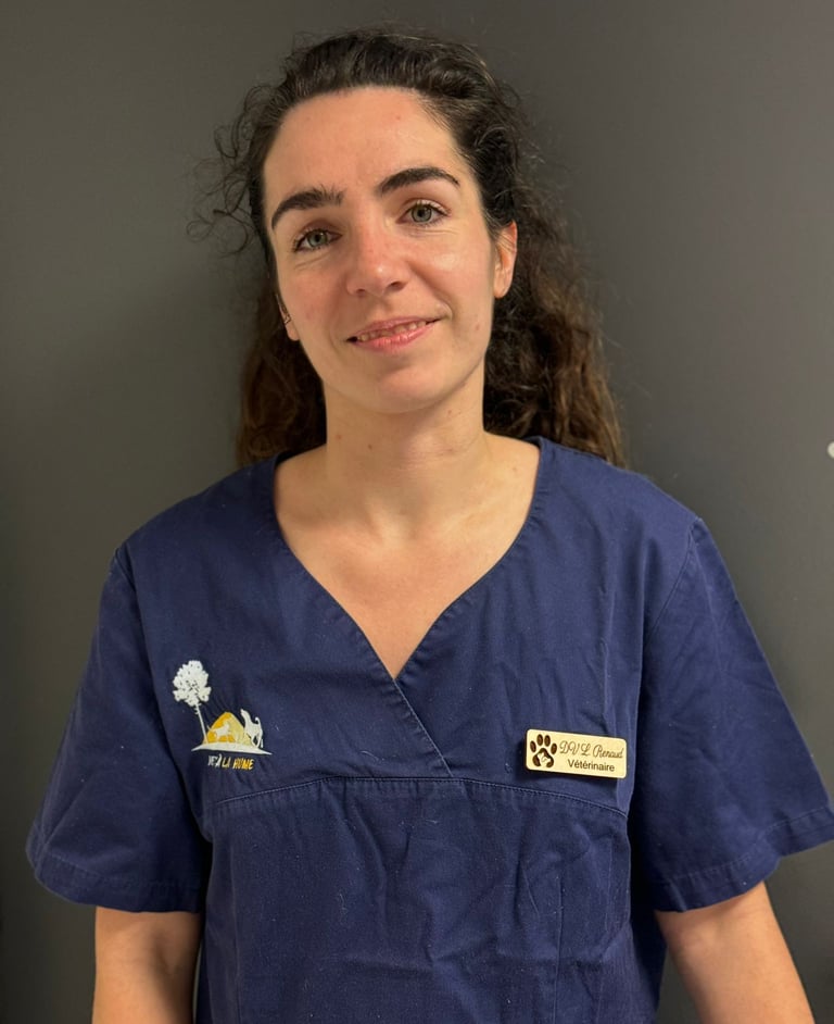 docteure renaud vétérinaire la hume