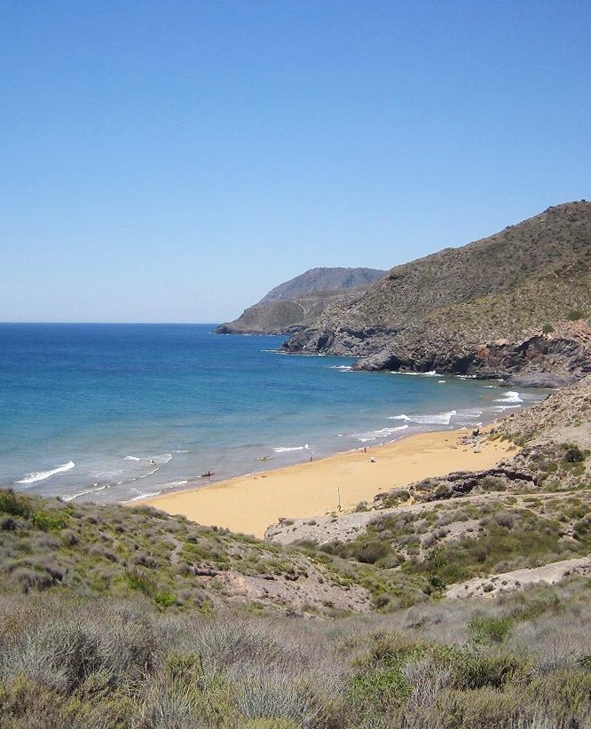 One of the many coves with fine sand and transparent waters that follow one another on the coast of