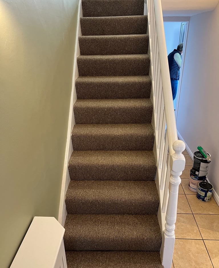 Hove indoor staircase with brown carpet and white wooden handrails in a home renovation setting.