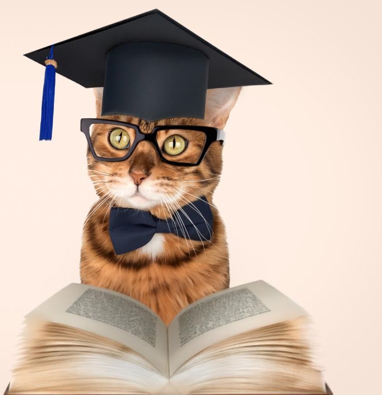 Un elegante gato atigrado pelirrojo, con birrete de graduación, gafas y pajarita, lee un libro 