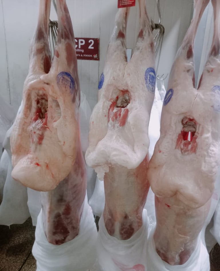 Top Lamb Meat Exporters In Pakistan