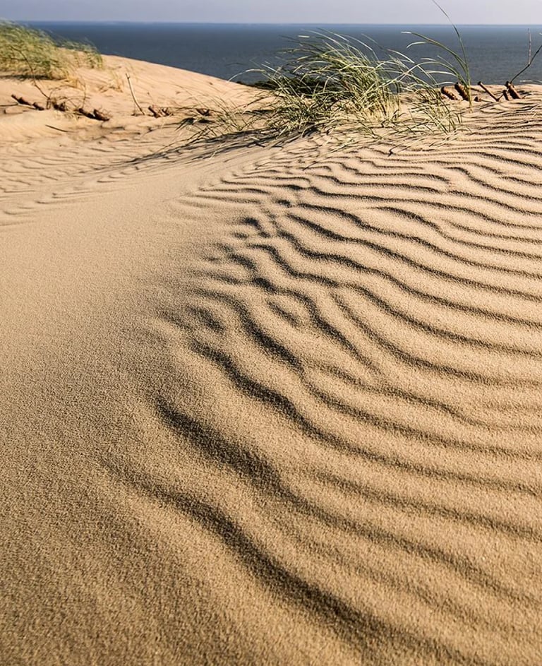 ThetaHealing mokymai Bazinis DNR - smėlio kopos pajūryje