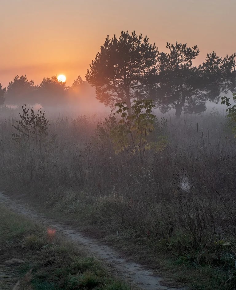 ThetaHealing mokymai Būties planai - rūkas gamtoje