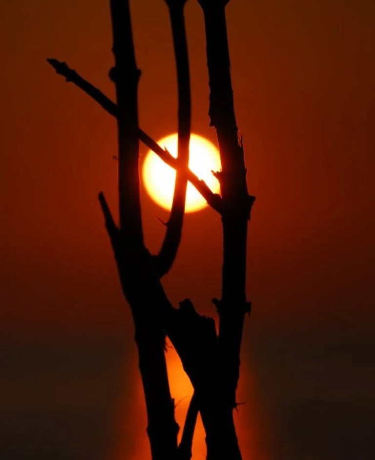 ThetaHealing mokymai Gyvenimo žaidimas - saulėlydis 