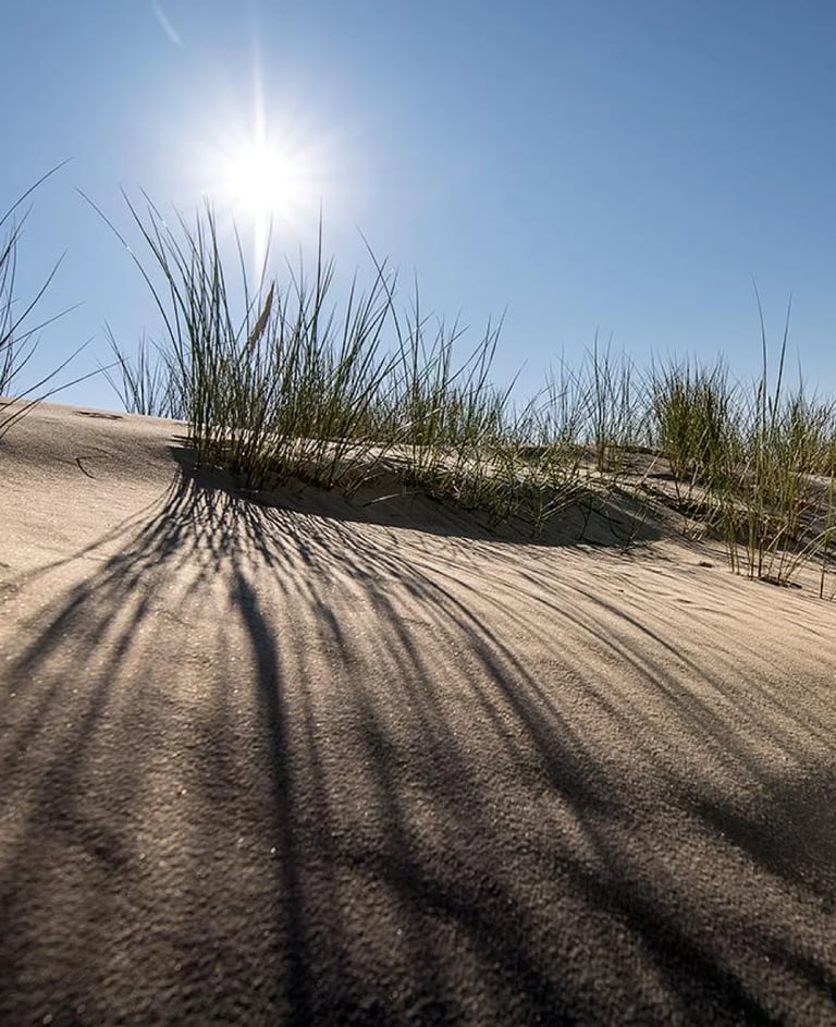 ThetaHealing mokymai Ritmas - smėlio kopa