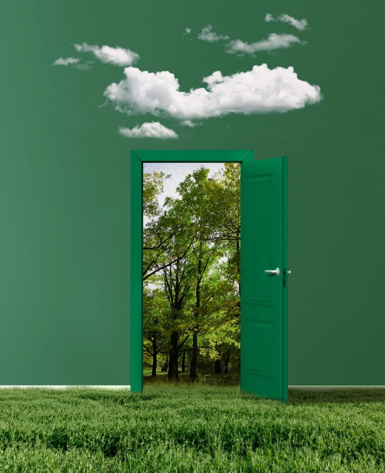 psicoterapia online e in presenza