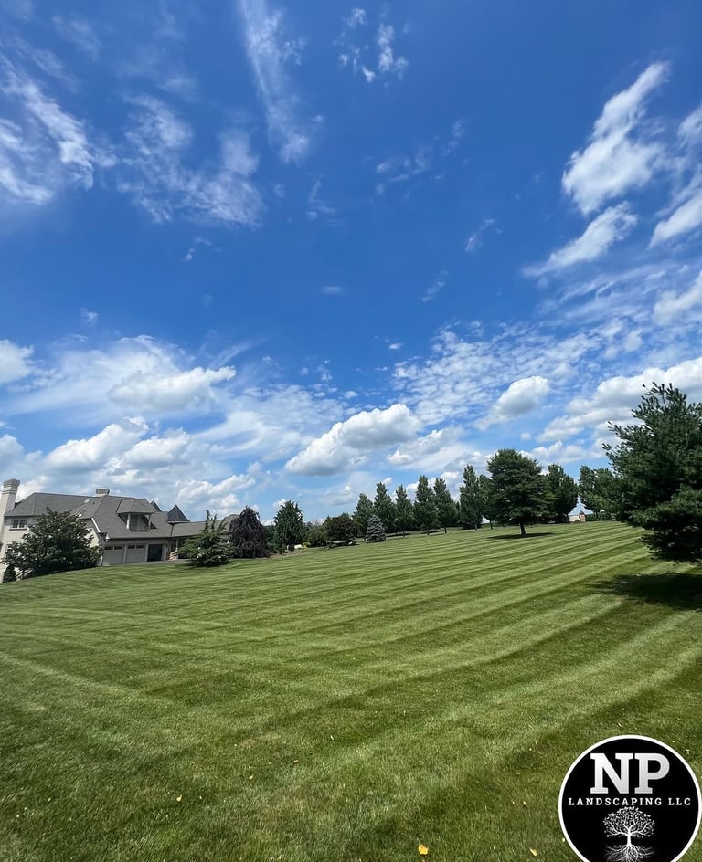 excellent landscaping and hardscaping of grass, stones and trees by NP Landscaping
