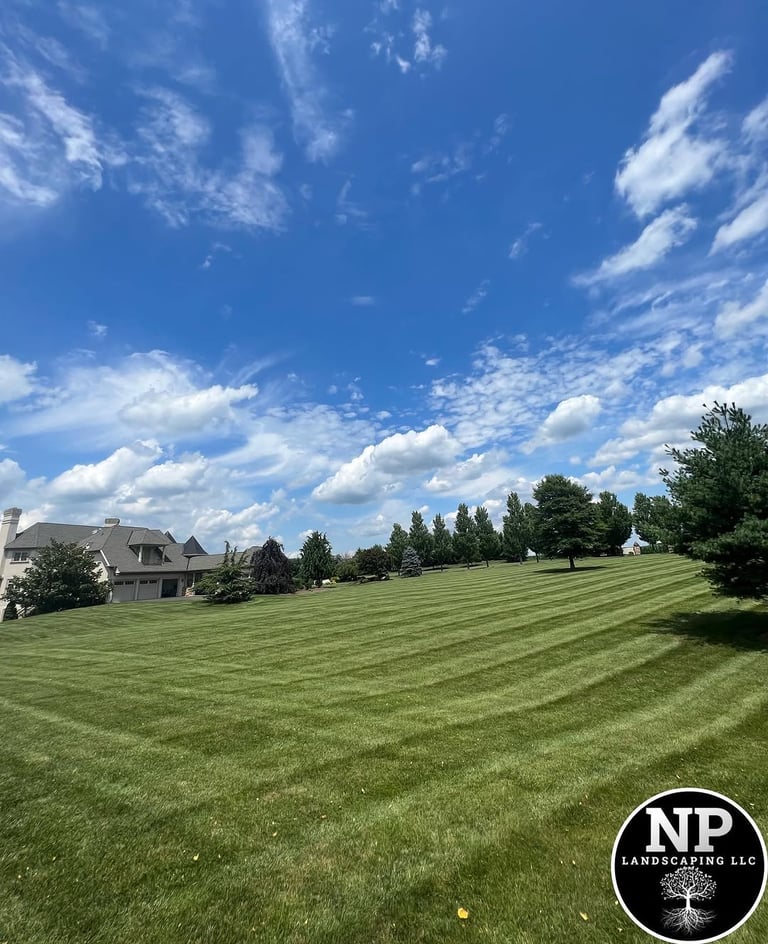 excellent landscaping and hardscaping of grass, stones and trees by NP Landscaping